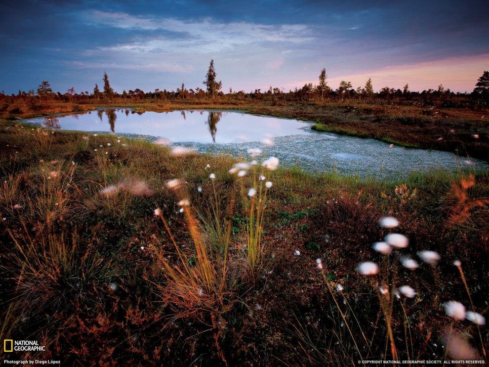  National Geographic   2011