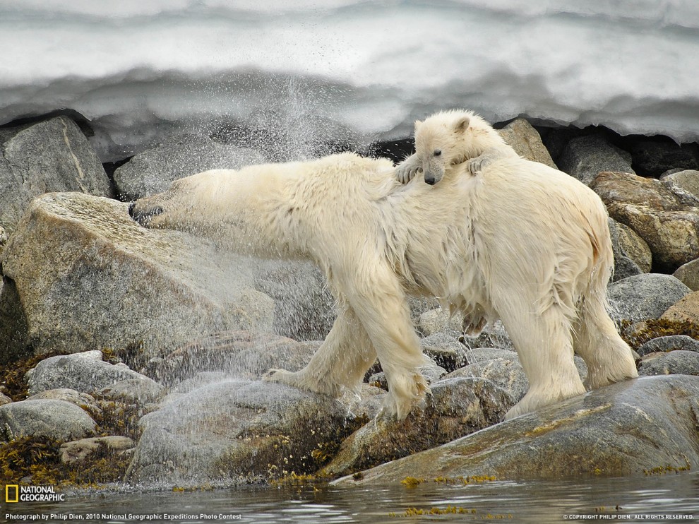  National Geographic   2011