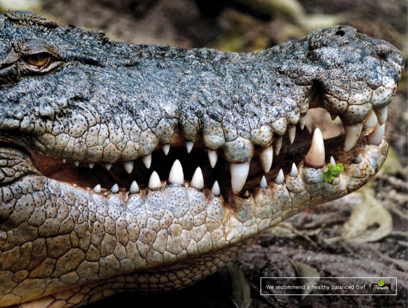 Florette: Crocodile