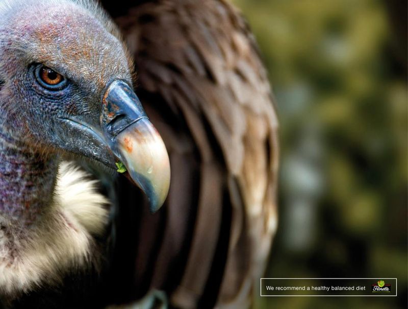 Florette: Vulture