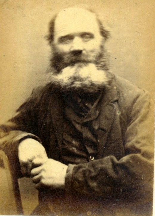   1871-1873  (36 ), photo:14
