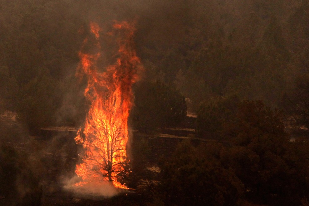 Лесные пожары в Аризоне