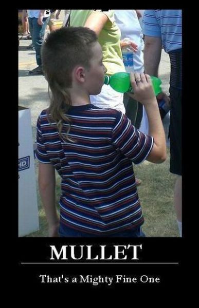   Mullets (38 ), photo:5