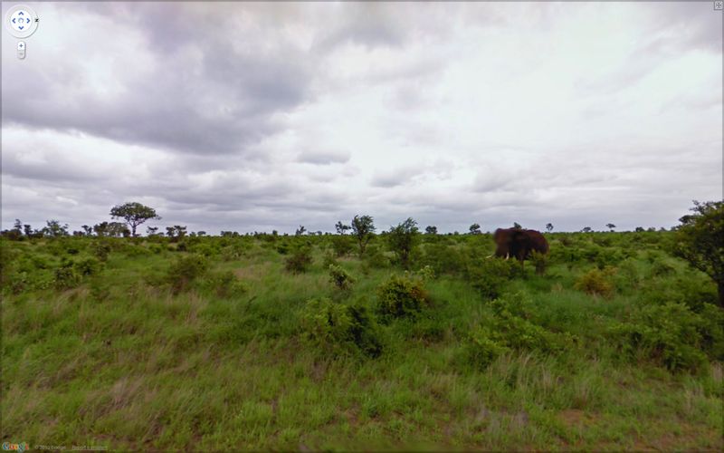 Google Street View.  2. (50 )