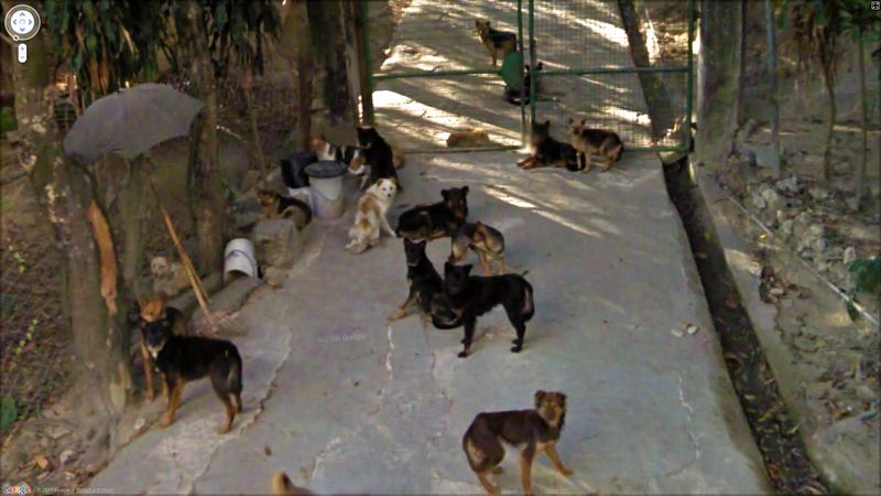 Google Street View.  2. (50 )