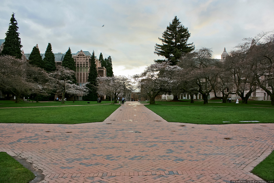 University of Washington, WA, USA