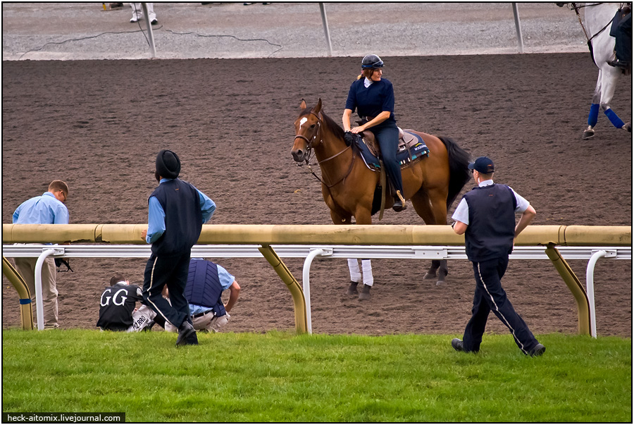    The Queens' Plate ( 1)