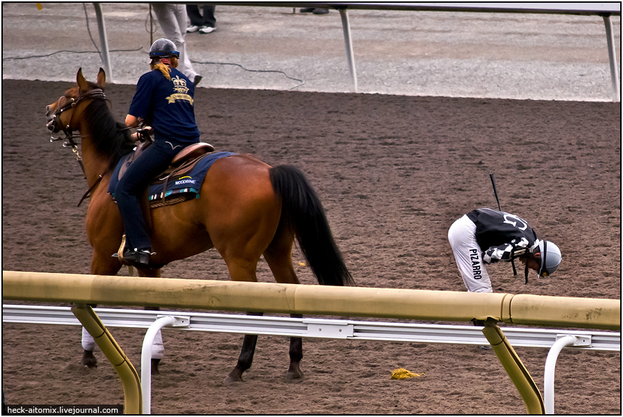    The Queens' Plate ( 1)