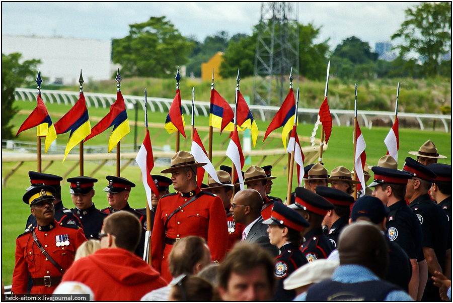    The Queens' Plate ( 1)