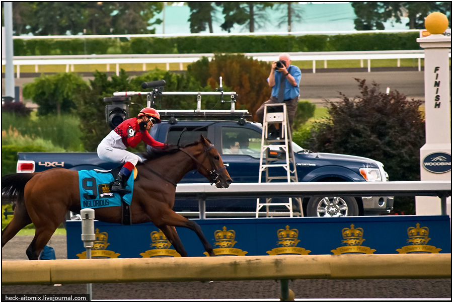    The Queens' Plate ( 1)