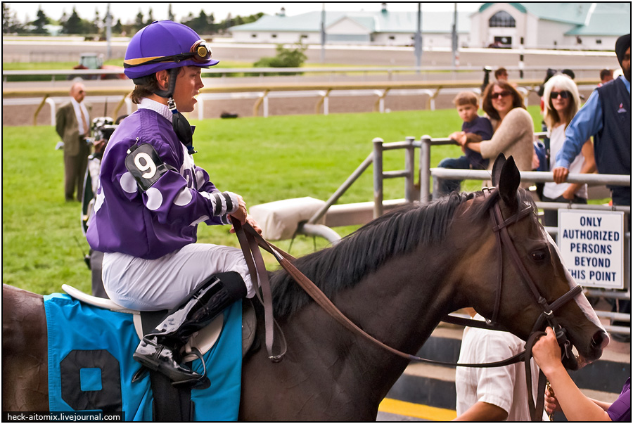    The Queens' Plate ( 1)