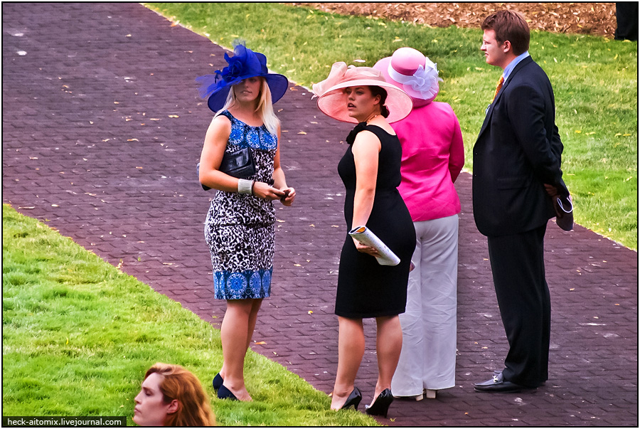    The Queens' Plate ( 2)