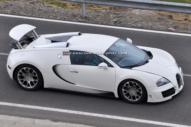   Bugatti Grand Sport (5 )