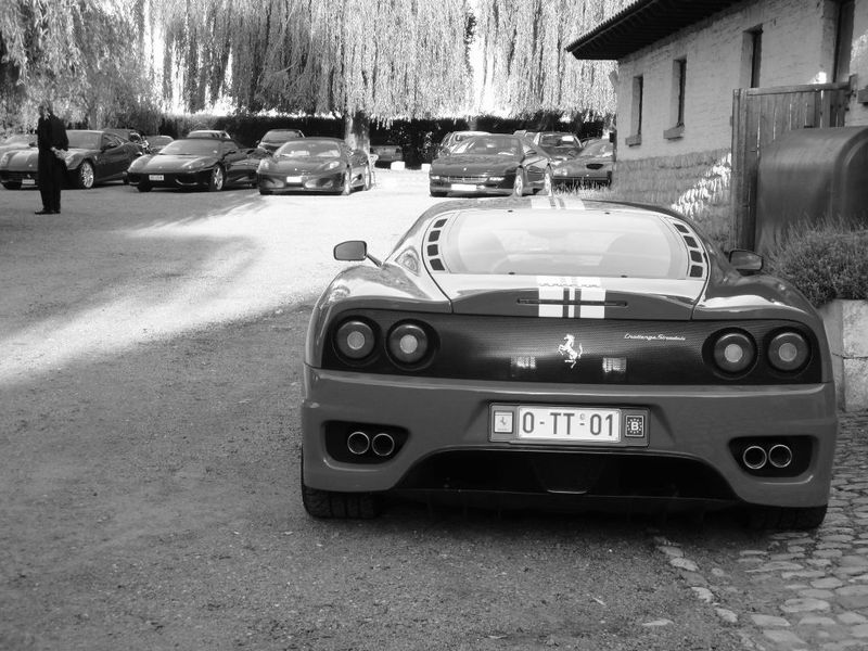   Ferrari    (55 +)
