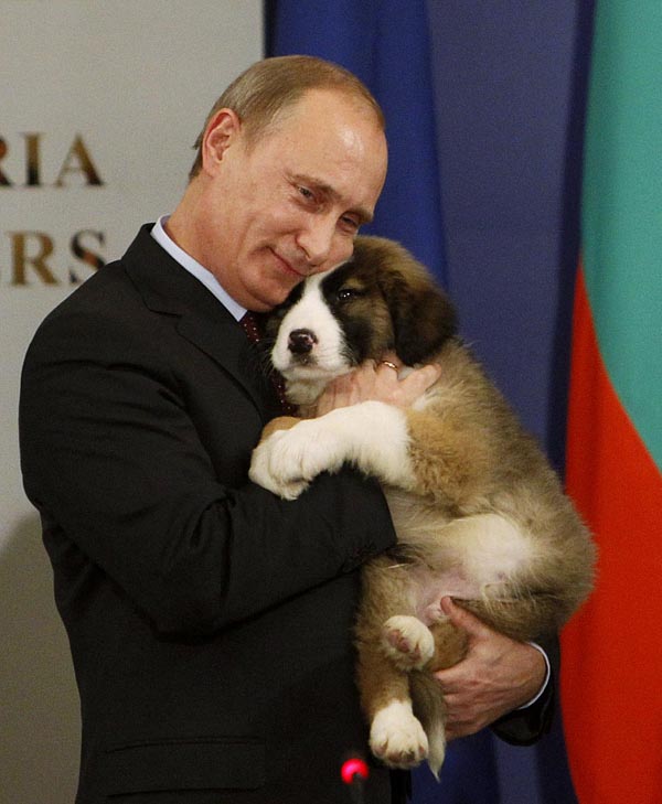 156606 russias prime minister putin hugs a bulgarian shepherd dog after recei   