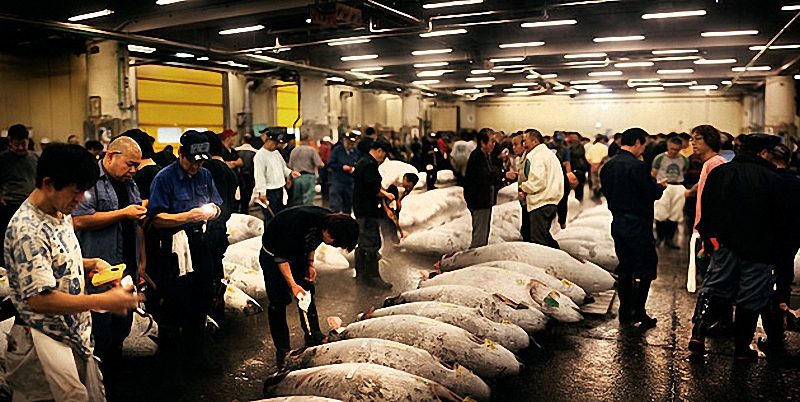 001 Tokyo Fish Market 8    
