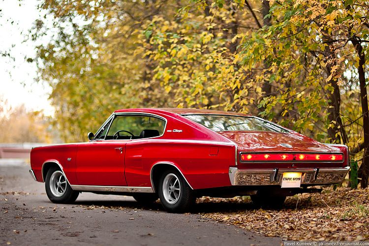  Dodge Charger 1967 (73 )