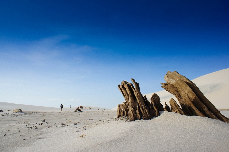 DXkAb000  :   Lencois Maranhenses 