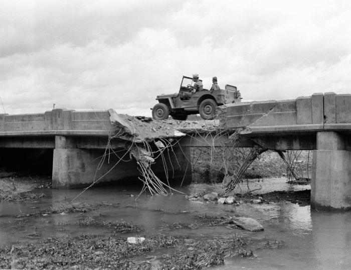Jeep на войне (58 фото)