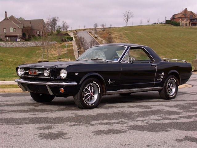     Ford Mustang (21 )