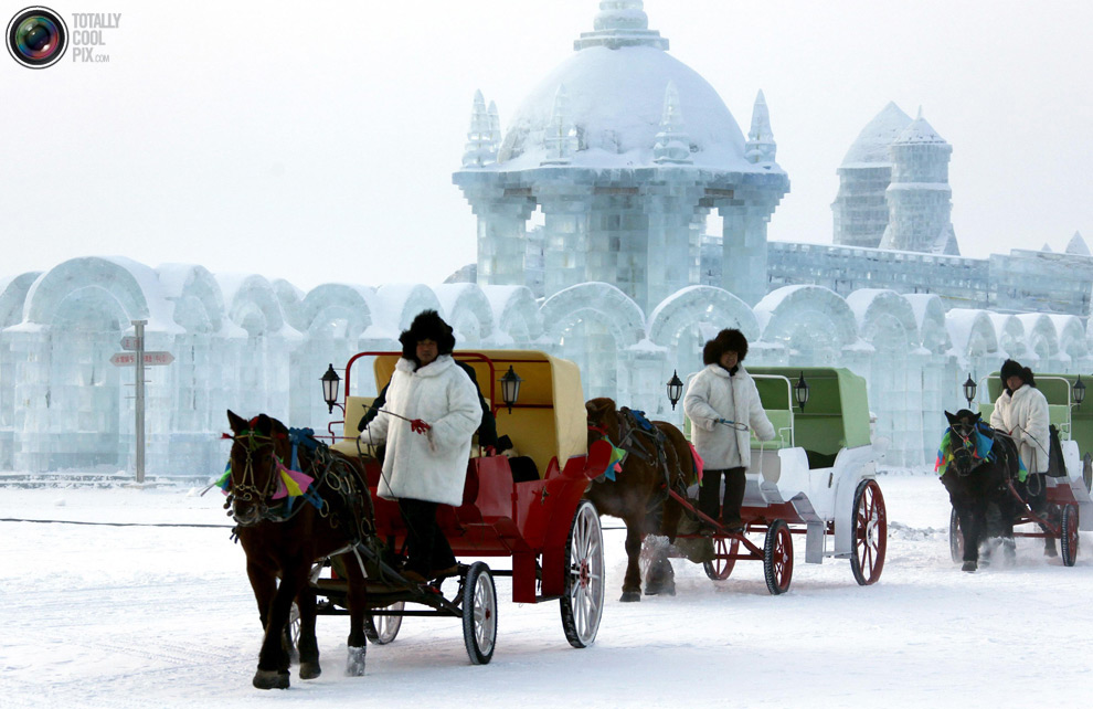 harbin 9       2011 ( 2)