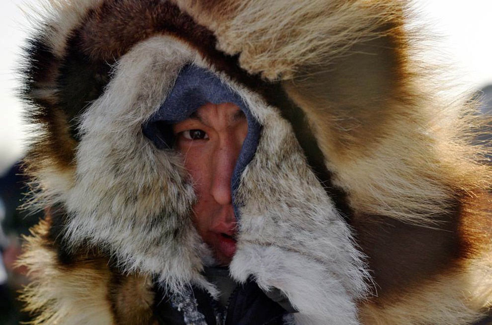 gonka nh     Iditarod 2011
