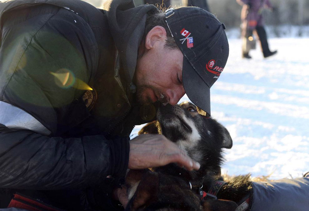 gonka ni     Iditarod 2011