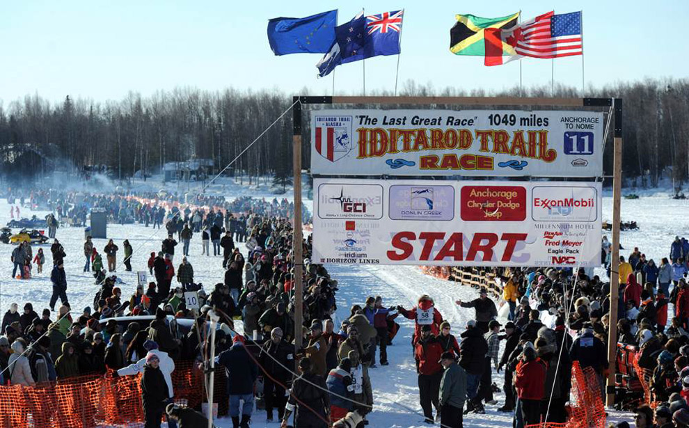 gonka nq     Iditarod 2011