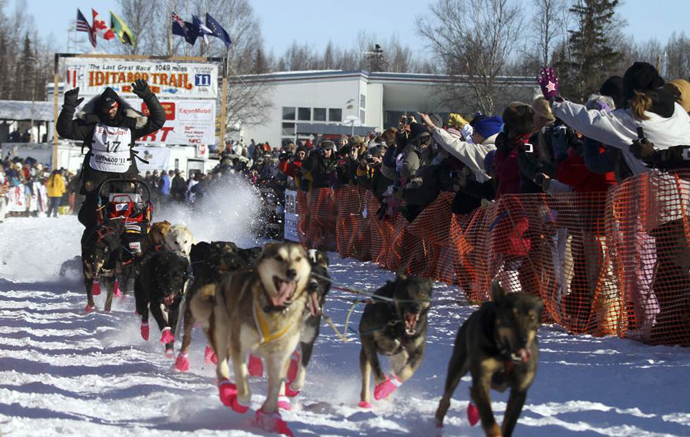 gonka ns     Iditarod 2011