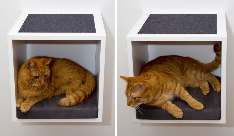 Мебель для кошек (17 фотографий), photo:11