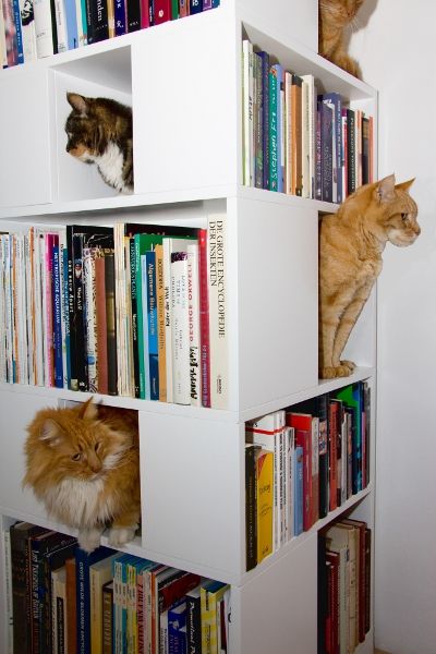 Мебель для кошек (17 фотографий), photo:13