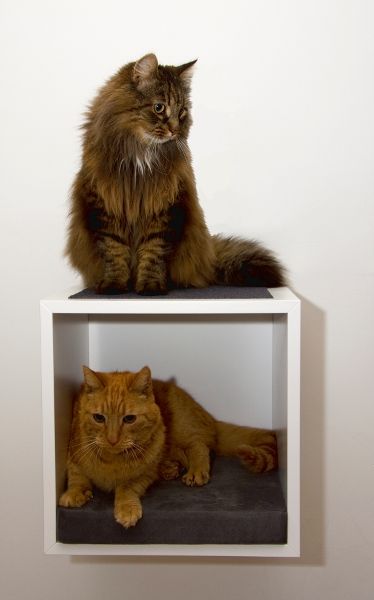 Мебель для кошек (17 фотографий), photo:14