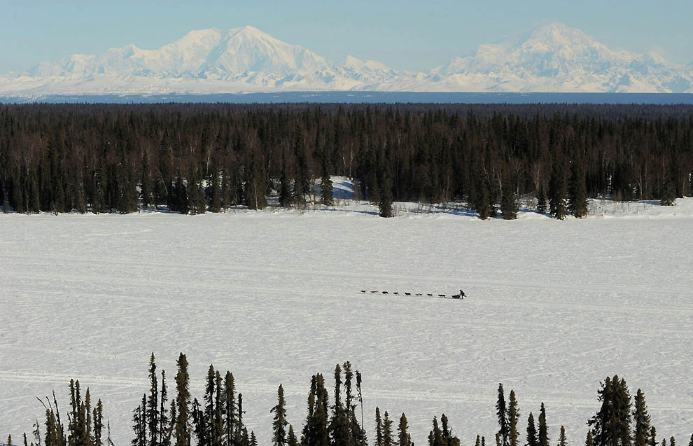 0435 Iditarod 2011      