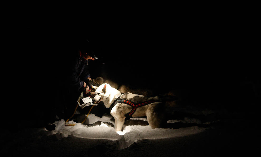 0732 Iditarod 2011      