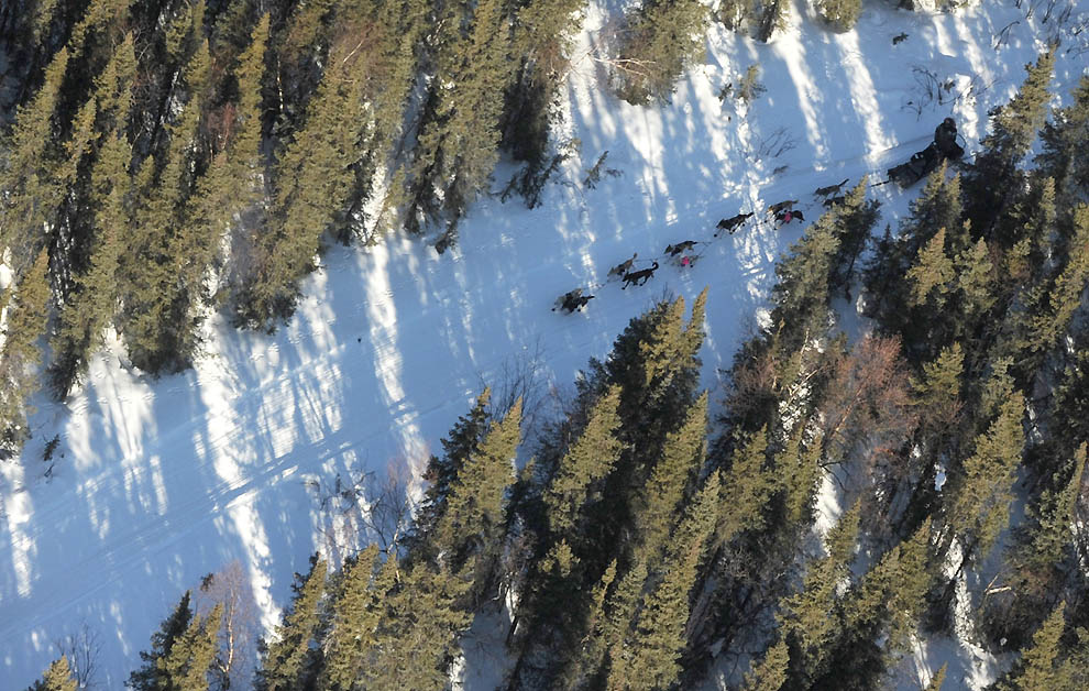 1353 Iditarod 2011      