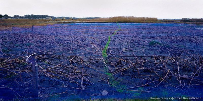 2.       «» .      .<br>   (Blue Field)<br> , 2004 .