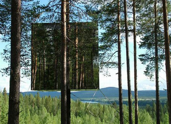 Удивительный дом на дереве (10 Фото)