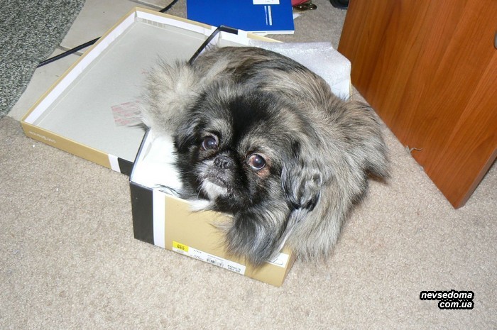 Мега прикольные картинки (45 фото)