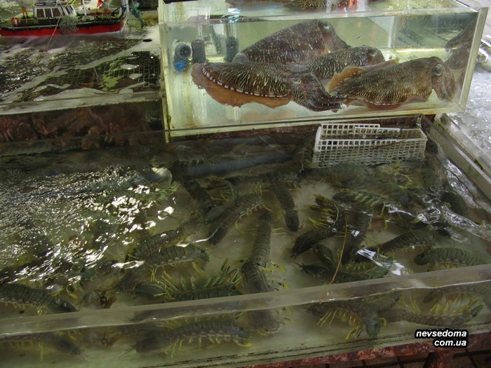 Мега прикольные картинки (45 фото)