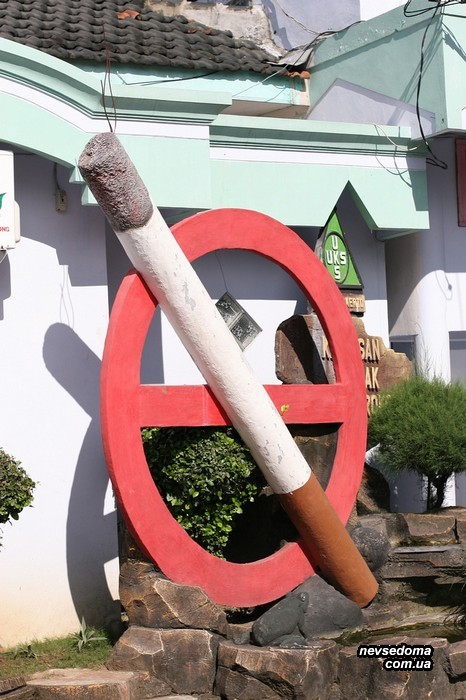 Мега прикольные картинки (47 фото)