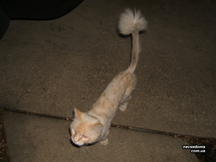 Мега прикольные картинки (47 фото)