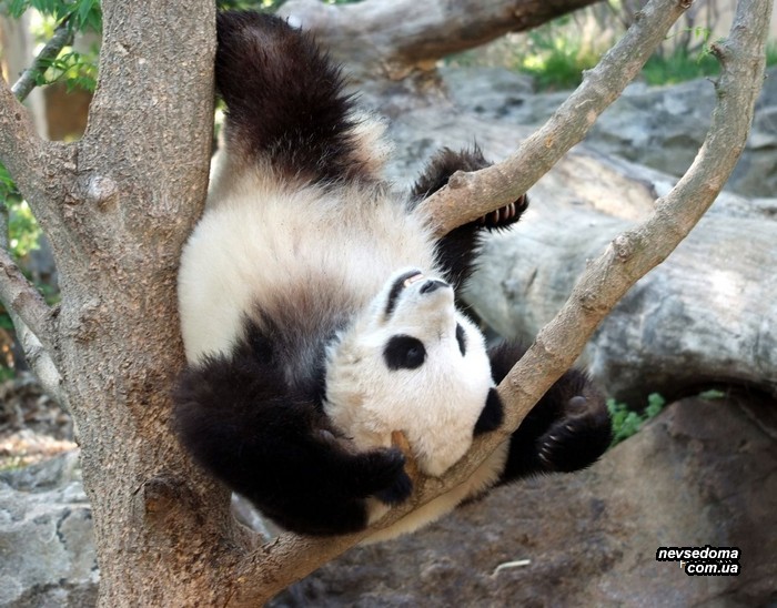 Мега прикольные картинки (45 фото)