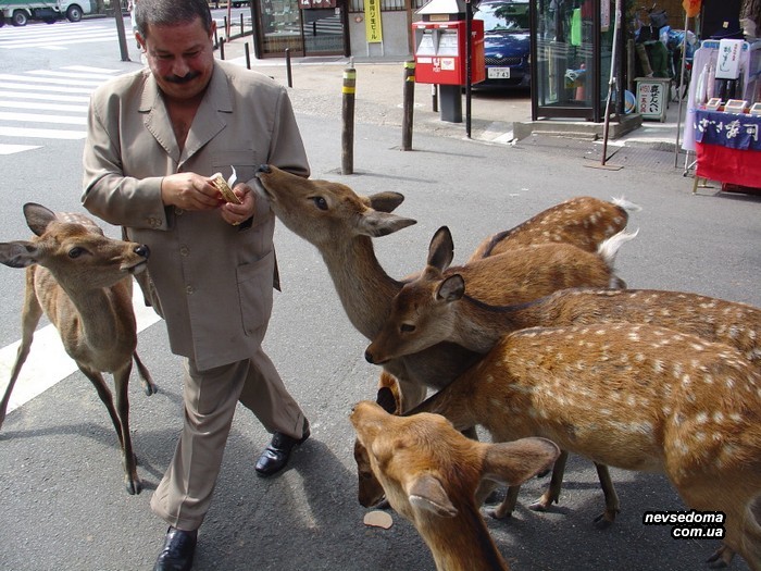 Мега прикольные картинки (47 фото)