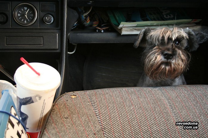 Мега прикольные картинки (47 фото)