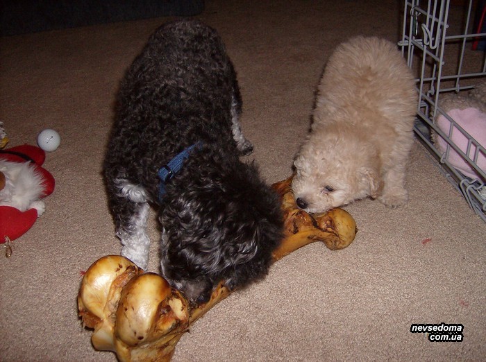 Мега прикольные картинки (45 фото)