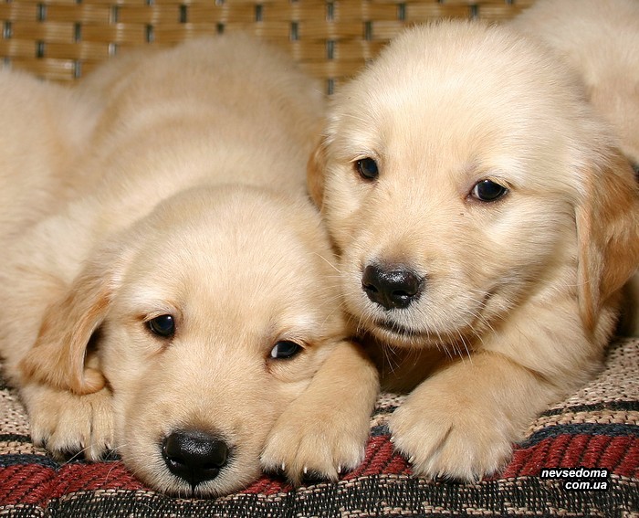 Мега прикольные картинки (47 фото)