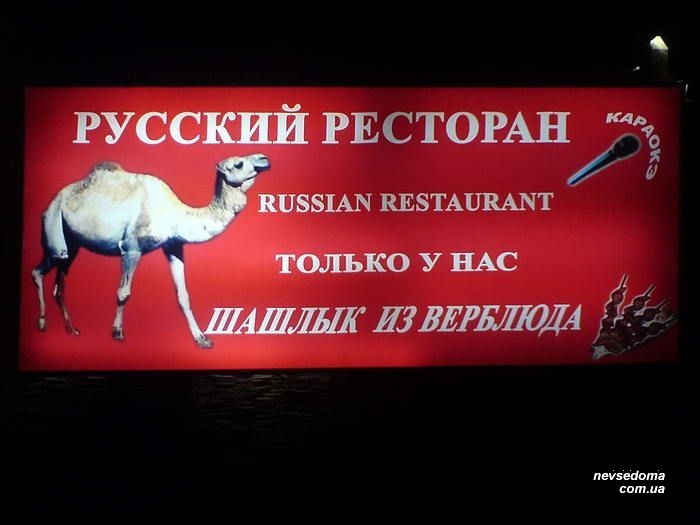 Мега прикольные картинки (45 фото)