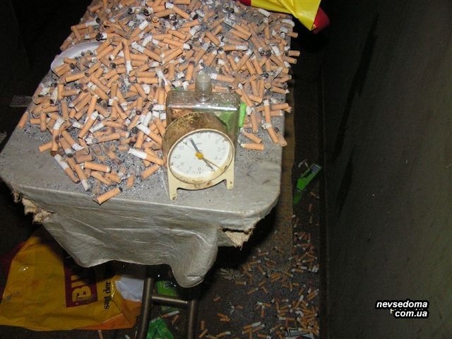 Мега прикольные картинки (45 фото)