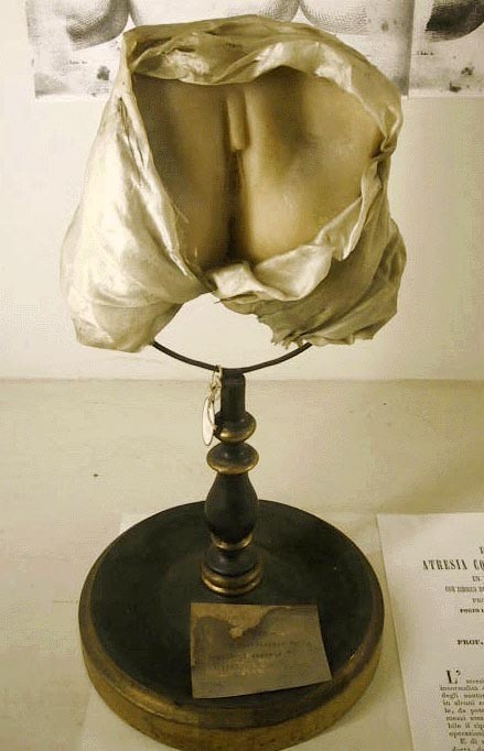 Кунсткамера (не наша) (17 фото)