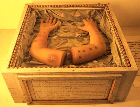 Кунсткамера (не наша) (17 фото)